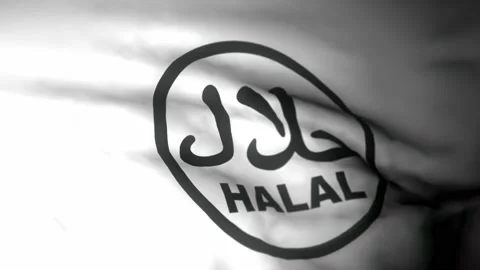 Waving HALAL flag for background video Video stock 224808739