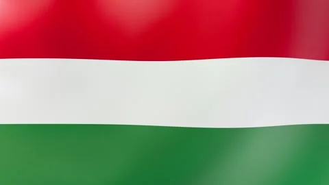 Waving Hungarian Flag Stock Footage 292528889