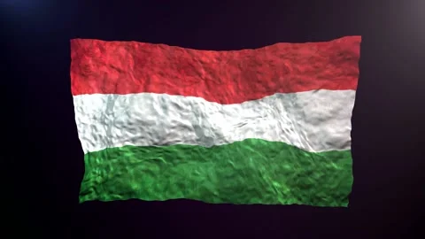 Waving Hungary  flag on dark background. Stock Footage 181123399