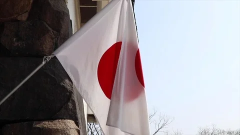 Waving Japanse flag Stock Footage 100638082