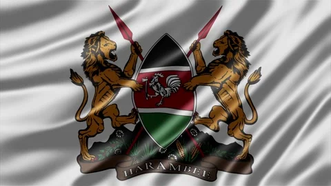 Waving Kenya coat of arms digital animation footage Stock-Footage 343946730