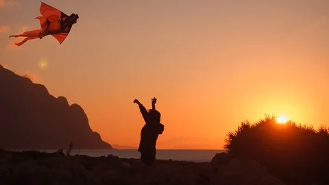 Waving kite 2 Stockbeeldmateriaal 97795514