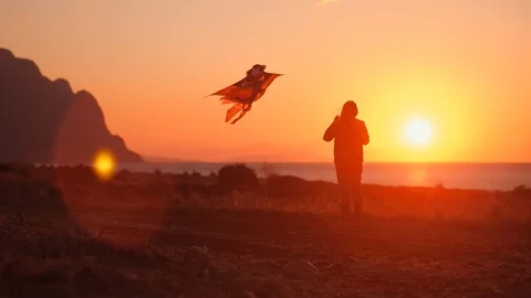 Waving kite Stockbeeldmateriaal 97795515