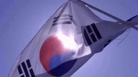 Waving korean flag on the sun Stock Footage 162640739