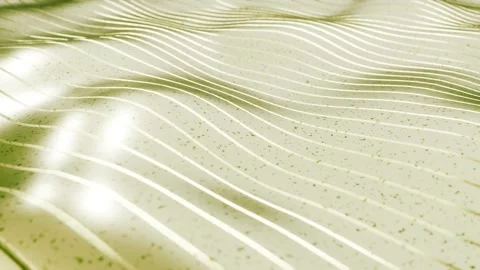 Waving lines background, seamless loop. 3D animation. Abstract waves animation Stock Footage 277951925