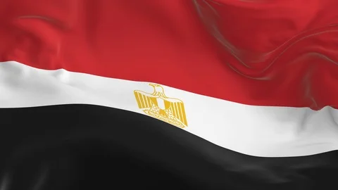 Waving  looped flag as  background Egypt Stock Footage 96020942