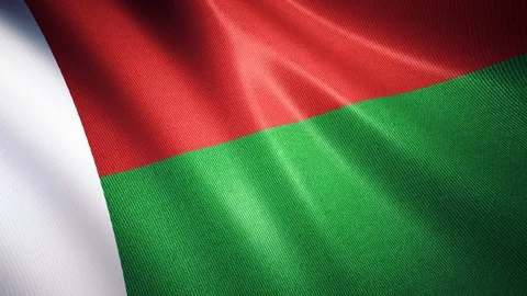 Waving Madagascar Flag Stock Footage 100212861