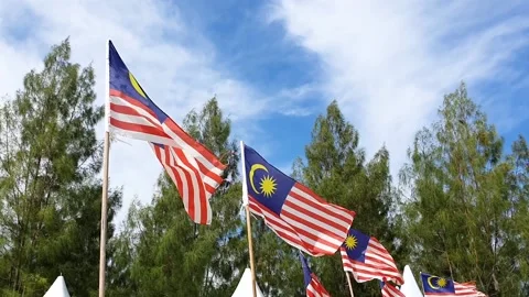 Waving of malaysia flag and blue sky background Stock Footage 157359341