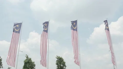 Waving Malaysia Flag Video stock 137981964