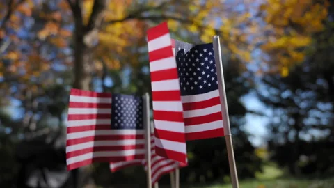 Waving of many American flags blowing in the wind at bright sunny autumn day. Видео 304077334