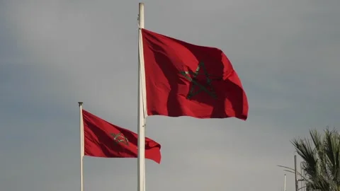 Waving Moroccan Flags in Casablanca Set Against Clear Sky Stock Footage 332953963