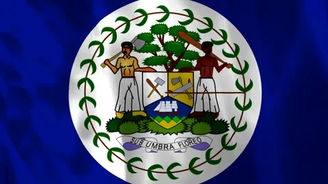 Waving national flag of Belize featuring the official coat of arms centered.. Video stock 343584042