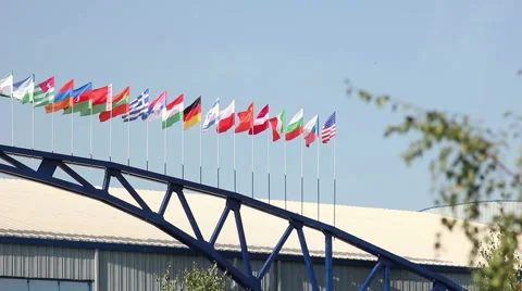 Waving National Flags Stock-Footage 60215520