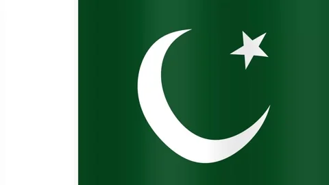 Waving Pakistan Flag Grid Background Animation Loop Stock Footage 340968396