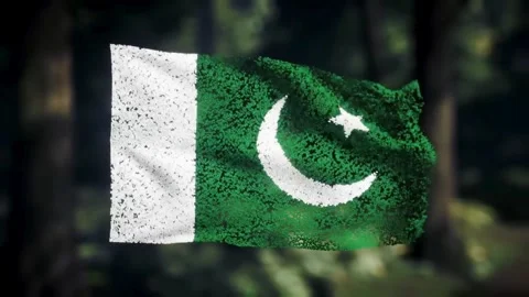 Waving Pakistani Flag on Clean Background Stock Footage 326354772