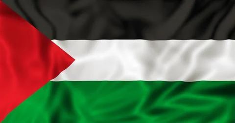 Waving Palestinian Flag Stock Illustration