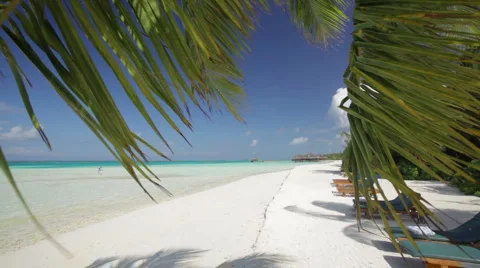 Waving palm leaf on a white sandy beach Stock Footage 1006547