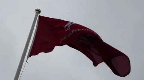 Waving Pegasus Flag Stock Footage 41828770