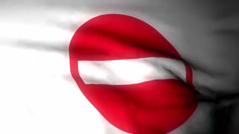 Waving perboden flag for background video forbidden Video stock 224808696