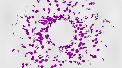 Waving Petals Stock Footage 158858015
