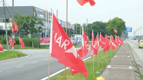 Waving PH Flag Stock Footage 220747487