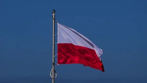 Waving polish flag on blue screen slow motion Video stock 287570502