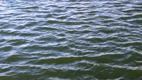 Waving Pond Water Stock Footage 144614413