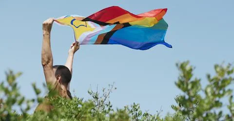 Waving a progress pride flag, web banner Stock Photos