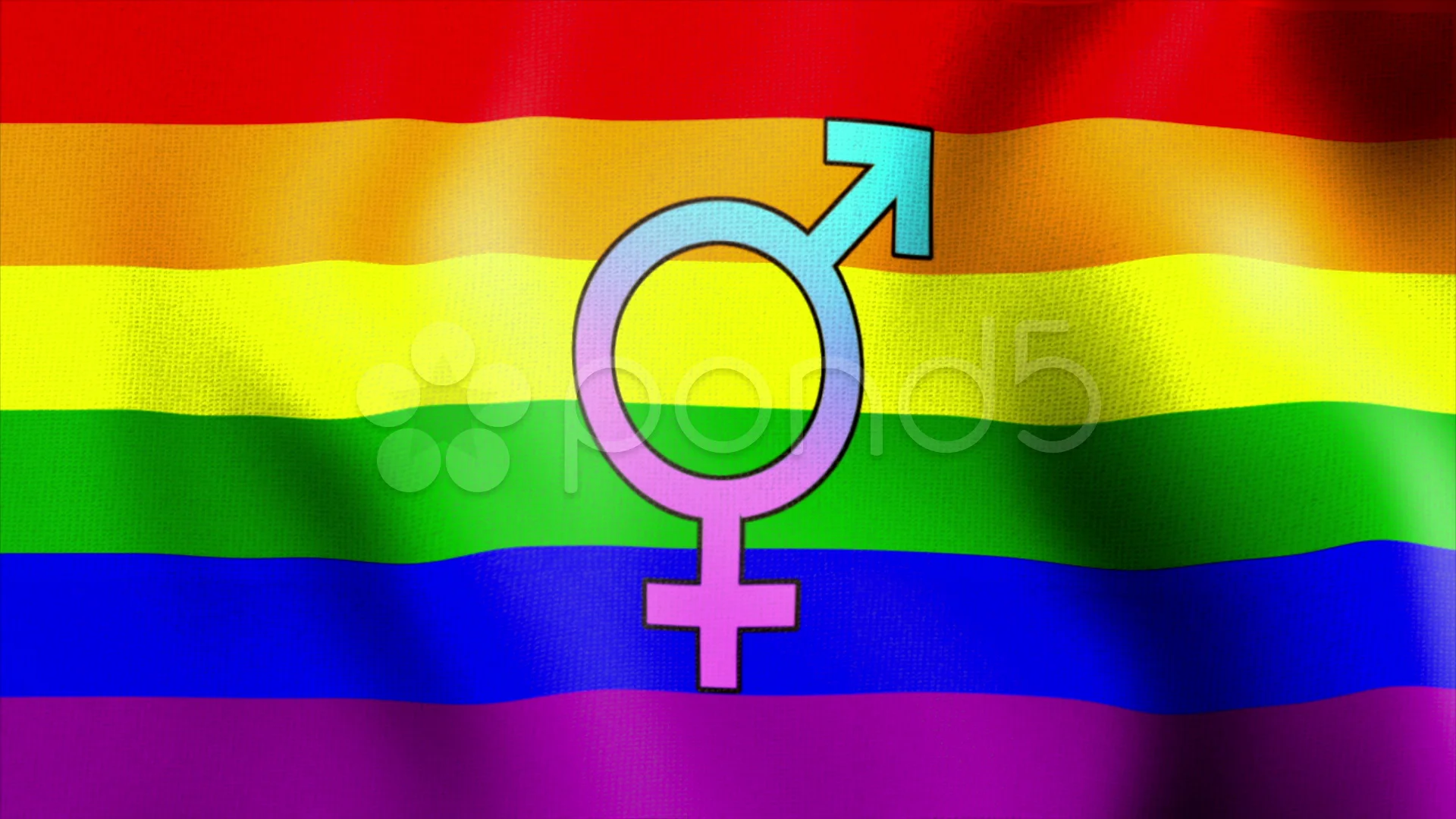 waving rainbow flag bisexual | Stock Video | Pond5