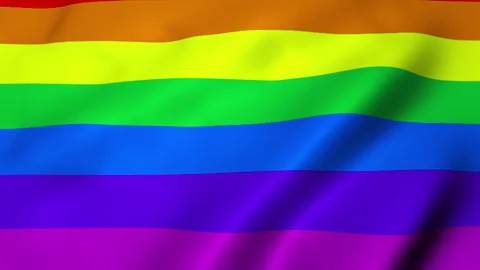 Waving Rainbow flag Stock Footage 345538640
