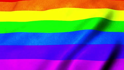 Waving Rainbow flag Stock Footage 345538648