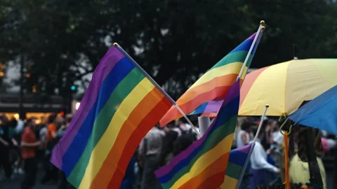 Waving rainbow flag at a pride parade Stock Footage 346990231
