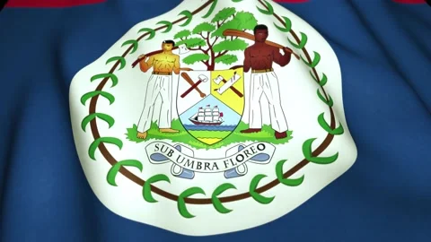 Waving realistic Belize flag in 4K , loop animation Stock Footage 137266864