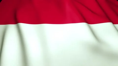 Waving realistic Monaco a flag in 4K, loop animation Stock Footage 137314067