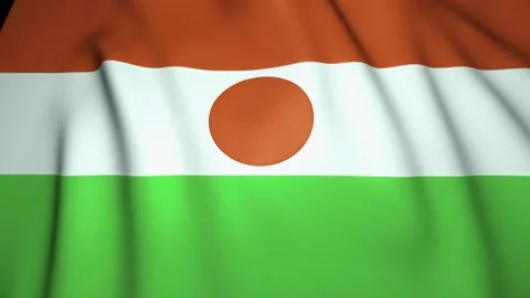 Waving realistic Niger flag background. Loop animation Stock Footage 146071794