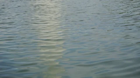 Waving of river Stock Footage 166373228