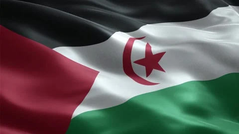Waving Sahrawi Flag Seamless Loop, Close-up, 1080p HD Stock Footage 321369666