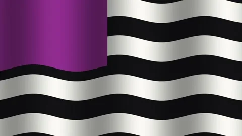 Waving stripes of black and white with a purple corner Stock Footage 338167243