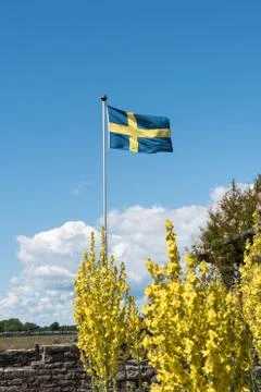 Waving swedish flag Stock Photos