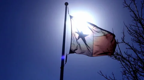 Waving Texas Flag Stock Footage 34442422