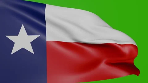 Waving Texas flag on green screen. State flag of Texas waving in the wind. Stock Footage 314580770