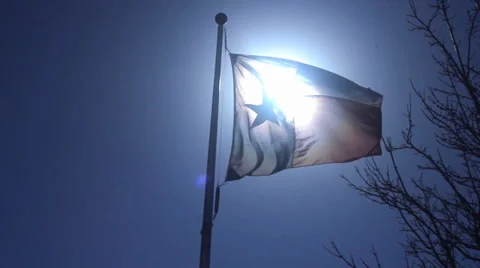 Waving Texas Flag - Sunshine Stock Footage 34442252