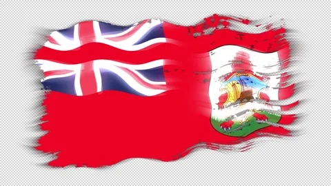 Waving torn Bermuda flag grunge brush burn light leaks transparent background, Stock Footage 337441222