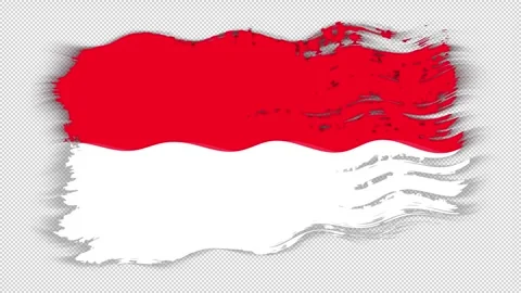 Waving torn Monaco flag grunge brush burn light leaks transparent background, Stock Footage 337430308