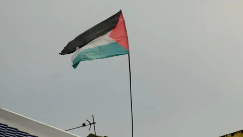 Waving Torn Palestinian Flag Video stock 294970291