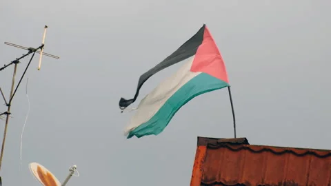 Waving Torn Palestinian Flag Video stock 294970414