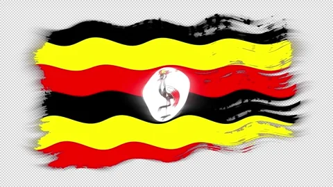 Waving torn Uganda flag grunge brush burn light leaks transparent background, Stock Footage 337438781