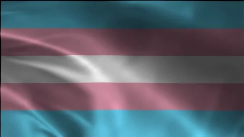 Waving Transgender Pride Flag Loop - Trans Visibility Symbol Stock Footage 340030116