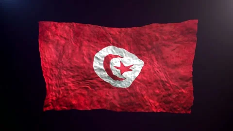 Waving Tunisia  flag on dark background. Stock Footage 181867646