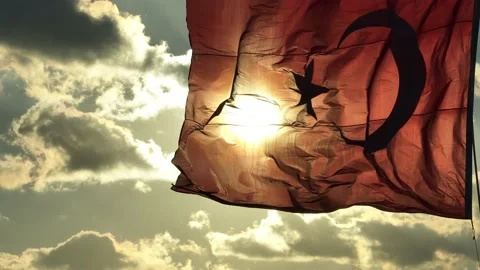 Waving Turkish flag. Background sky. Stock Footage 220359943